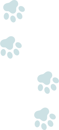 アイコン 猫の足跡