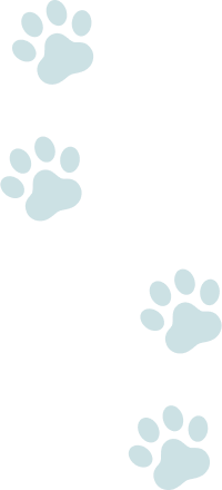 アイコン 猫の足跡