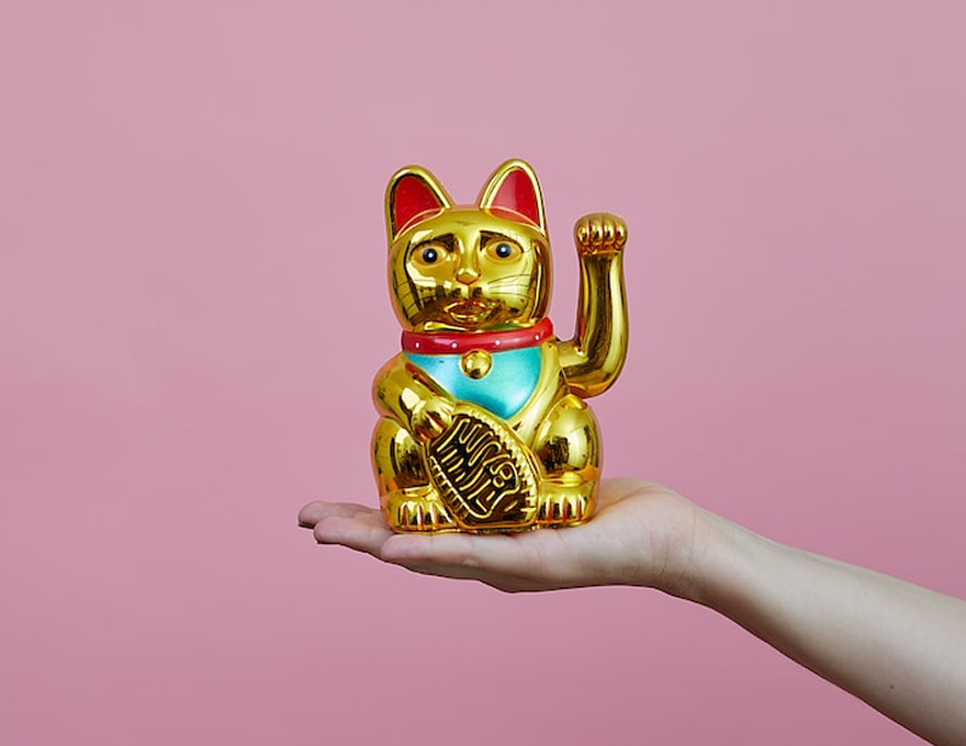 写真 ねこねこグッズセット