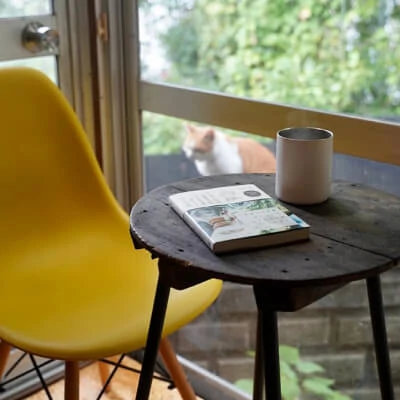 写真 休憩スペースと猫